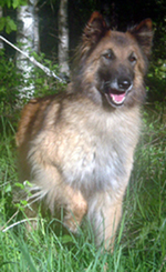 Eole-Ann29.5.2006-7v.Tehis.J.U.jpg (66426 bytes)