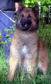 Eole-Ann29.5.2006-7v.Tehis.JU.jpg (80599 bytes)
