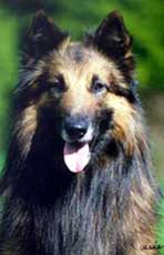 Expert-Idylle29.05.2003-4v.JPG (11195 bytes)