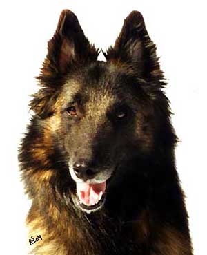 Fame-Aloween1.04.2004-3v11kk.head.JPG (42801 bytes)