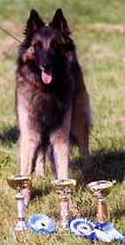 Fame-Aloween19.07.2003.6.JPG (12575 bytes)
