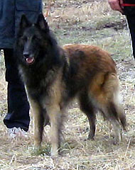 Fame-Aloween30.04.2005-5v.1.jpg (30196 bytes)