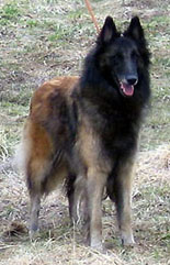 Fame-Aloween30.04.2005-5v.5.jpg (30904 bytes)