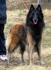 Fame-Aloween30.04.2005-5v.6.jpg (27254 bytes)