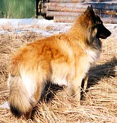 FellowBestman3.2001.JPG (24201 bytes)