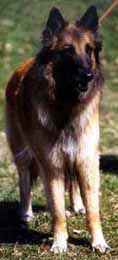 Fine-Aloween10.05.2003-3v.JPG (16007 bytes)