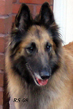 Gaily-Candy14.04.2008-4v1vk.Sara.head4.jpg (66755 bytes)
