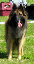 Grand-Roger02.07.2006-3v2kk.10.jpg (98142 bytes)