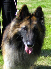 Grand-Roger02.07.2006-3v2kk.head1.jpg (159036 bytes)