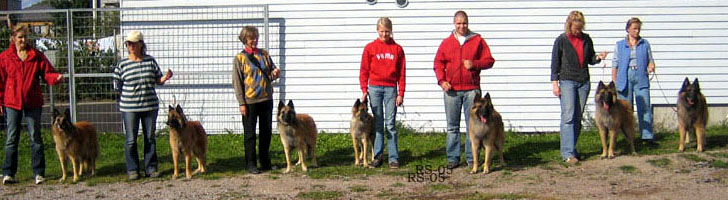 H.Tr.Pentutapaamien11.09.2005-1v7kk.4.jpg (33713 bytes)