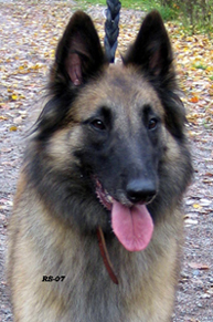 Hazel-Eole7.10.2007-3v8kk.Hile.head.jpg (220761 bytes)