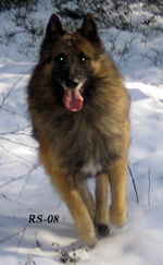Hex-HotLover24.03.2008-4v1kk.Heksa.2.jpg (107311 bytes)