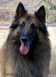 Hex-HotLover26.02.2008-4v.Heksa.head.jpg (92725 bytes)