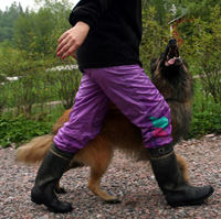 Hex-HotLover26.05.2007-Heksa.Ritva.seuraa.jpg (110065 bytes)