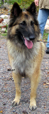 Honey-Eole7.10.2007-3v8kk.Nella.16.jpg (121778 bytes)