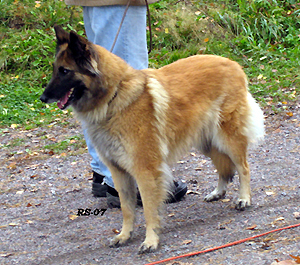 Honey-Eole7.10.2007-3v8kk.Nella.17.jpg (133643 bytes)