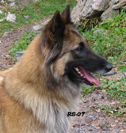 Honey-Eole7.10.2007-3v8kk.Nella.head15.jpg (59087 bytes)