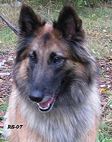 Honey-Eole7.10.2007-3v8kk.Nella.head4.jpg (79080 bytes)