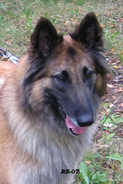 Honey-Eole7.10.2007-3v8kk.Nella.head5.jpg (74989 bytes)