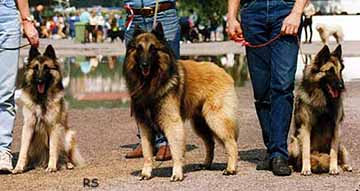 SherpaBelleBona1998.JPG (21486 bytes)