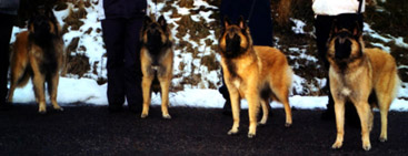 I-Tr.koulutus12.12.2004-9kk.1.jpg (77078 bytes)
