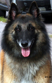Instant-Fame13.09.2008-4v6kk.Dixie.head.jpg (268707 bytes)