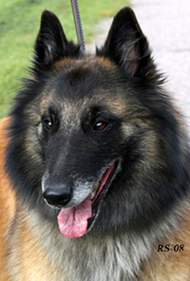 Instant-Fame13.09.2008-4v6kk.Dixie.head8.jpg (158257 bytes)