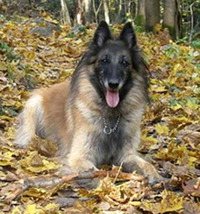 Ittybitty-Fame21.10.2008-4v7kk.Mocca.AL.1.jpg (122341 bytes)