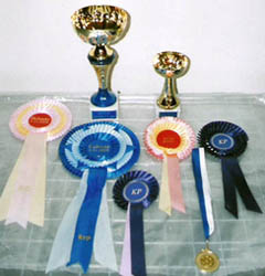 Ittybitty-Fame28.11.2004-8kk1vk.palkinnot.jpg (18773 bytes)