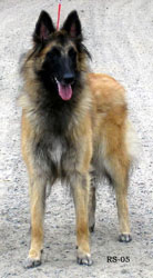 Ittybitty-Fame30.04.2005-13,5kk.3.jpg (42372 bytes)