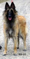 Ittybitty-Fame30.04.2005-13,5kk.4.jpg (22922 bytes)