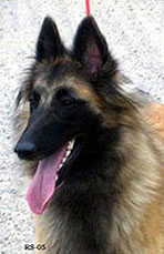 Ittybitty-Fame30.04.2005-13,5kk.head1.jpg (18959 bytes)