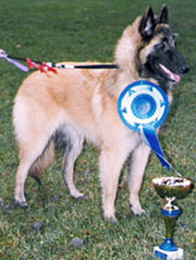 Ittybitty-Fame9.11.2004-7kk3vk.4.jpg (39375 bytes)