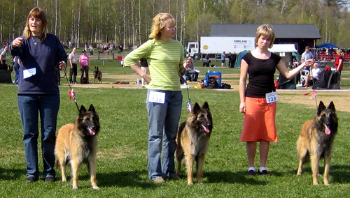 Ittybitty.Jazzy.Just7.05.2006.jpg (193204 bytes)