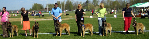 J-Tr.7.05.2006-13kk.pentutapaaminen.3.jpg (177779 bytes)