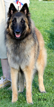 Jazzy-Fame 19.7.2008 - 3v4kk. Jaffa.1.jpg (93964 bytes)