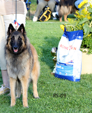 Jazzy-Fame 19.7.2008 - 3v4kk. Jaffa.jpg (232340 bytes)
