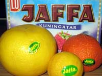 Jazzy-Fame-jaffoja.jpg (16094 bytes)
