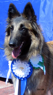 Jazzy-Fame1.06.2008-3v2kk.Jaffa.Eesti KV.head.jpg (137573 bytes)