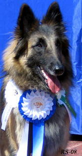 Jazzy-Fame1.06.2008-3v2kk.Jaffa.Eesti KV.jpg (145809 bytes)