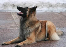 Jazzy-Fame11.03.2005-2v.Jaffa.M.V.2.jpg (14972 bytes)