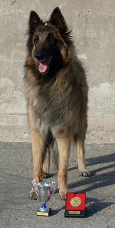 Jazzy-Fame15.06.2009-Latvia.Jaffa.ROP.Cacib.jpg (164379 bytes)