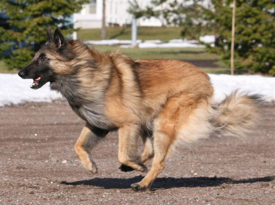 Jazzy-Fame18.03.2007-2v.Jaffa.jpg (112994 bytes)