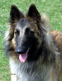 Jazzy-Fame7.05.2006-13kk.head2.jpg (161448 bytes)