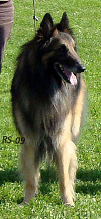Jester-Son 08.08.2009- 4v5kk. Jekku.jpg (37801 bytes)