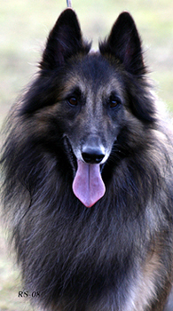 Jester-Son 18.10.2008 - 3v7kk Jekku.head4.jpg (109503 bytes)
