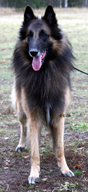 Joker-Son 18.10.2008 - 3 v 7 kk. Jaki.4.jpg (213303 bytes)