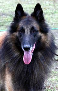 Joker-Son 18.10.2008 - 3 v 7 kk. Jaki.head8.jpg (212589 bytes)