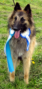 Jolly-Fame03.06.2006-14kk.BaltJW.2.jpg (210631 bytes)