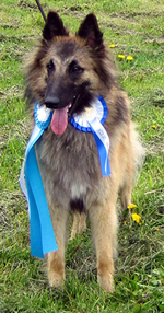 Jolly-Fame03.06.2006-14kk.BaltW.jpg (184999 bytes)